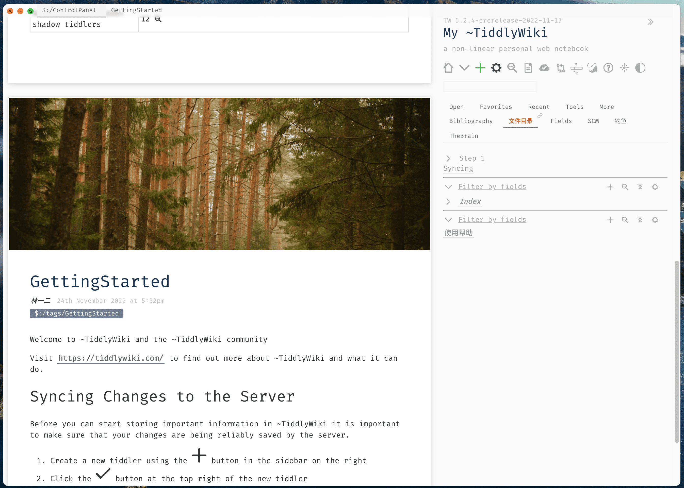 TidGi 太记 v0.12.4纯净版