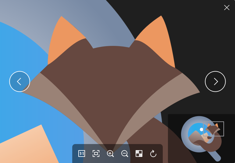 Pineapple Pictures 菠萝看图  轻量高效 v1.1.1绿色版