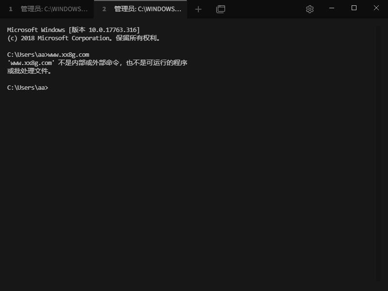Tabby终端仿真器v1.0.226便携版
