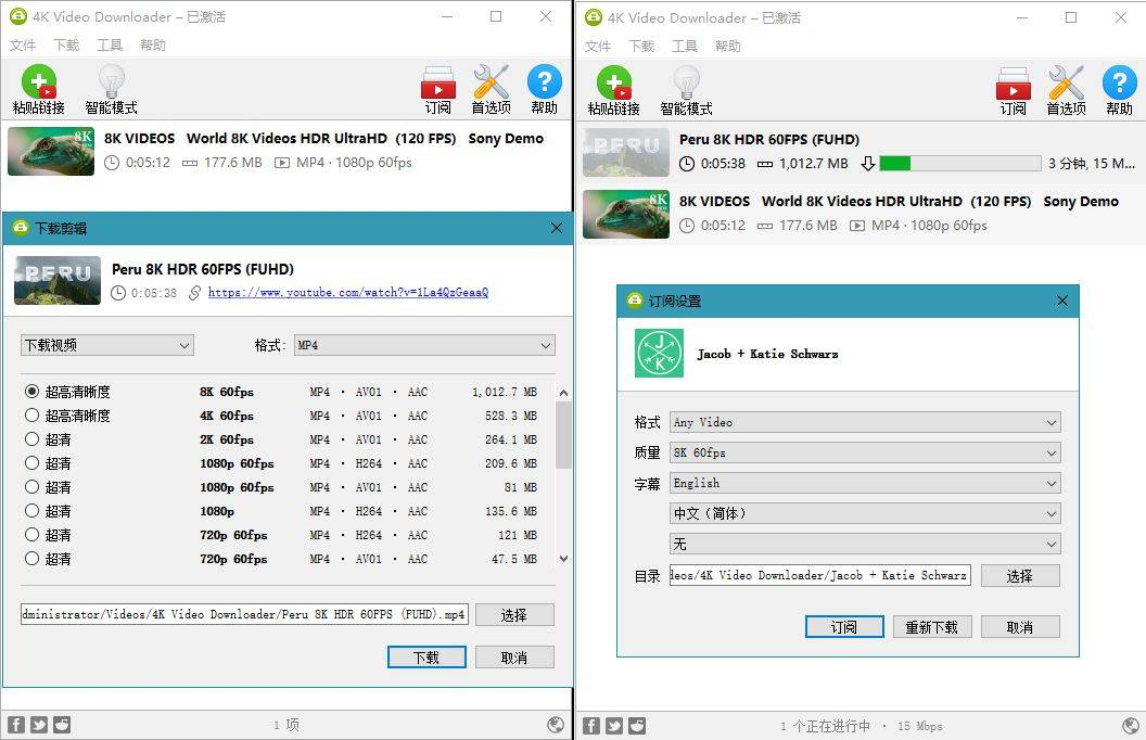 4K Video Downloader 油管视频下载器v25.1.0.0196