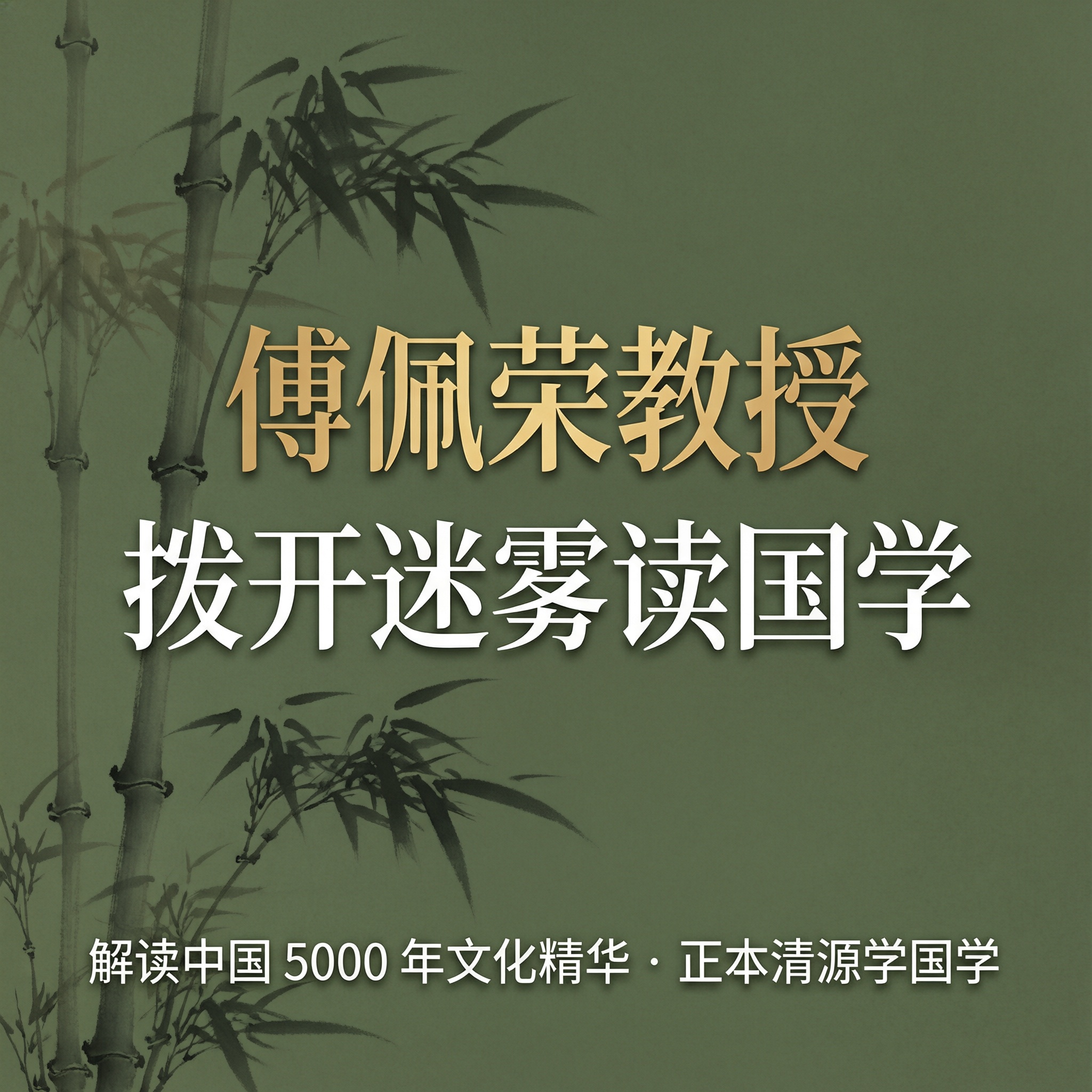 傅佩荣教授截图