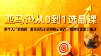 张景老师 亚马逊从0到1选品课 新手实操案例