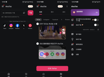 AhaTok Downloader 多平台一键解析下载 3.2.8