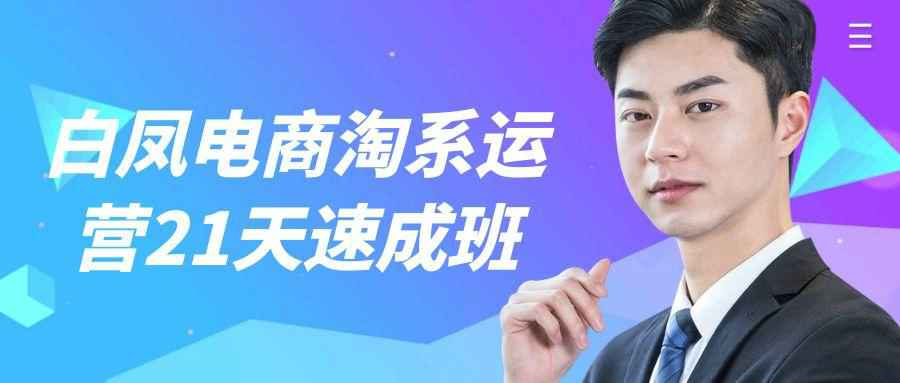 白凤电商淘系运营21天速成班 掌握淘宝核心技能