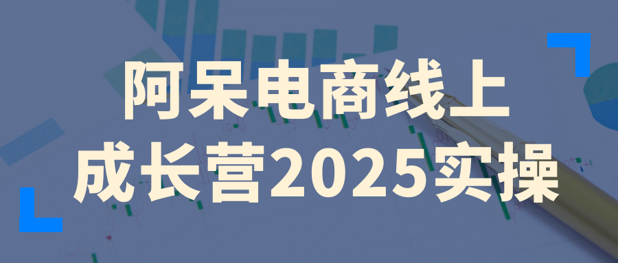 阿呆电商线上成长营2025实操 全流程实操