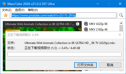 MassTube v21.3.1.183 绿色版下载 -YouTube视频下载工具