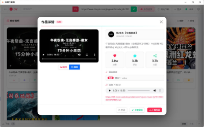 DY Video Downloader 0.0.9：抖音网页版批量下载