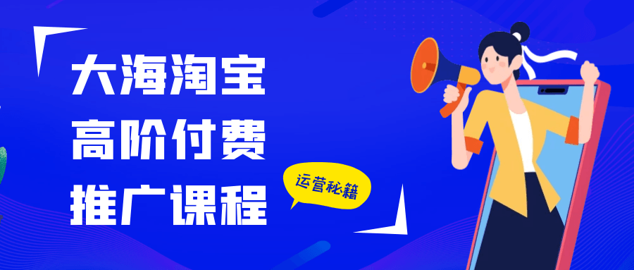 大海淘宝高阶付费推广课程 直通车+高投产