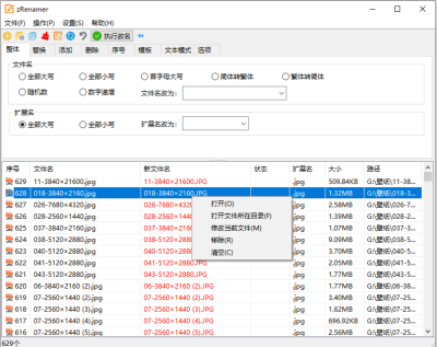 zRenamer 批量改名工具 v1.7 绿色版 – 支持正则/模板/序号
